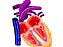Corazón.