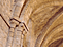 Capitel