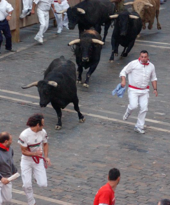 El SNS realiza 240 atenciones en los cinco primeros días de San Fermín. 