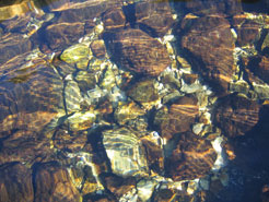 Agua rio