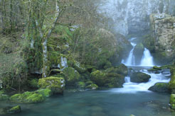 Río de Navarra