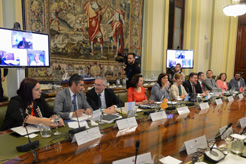 La consejera Elizalde, en la sesión del Consejo Consultivo de Política Agrícola.  