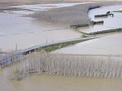 Imagen de archivo de la N-113 inundada en Castejón.