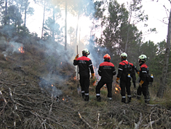 Bomberos en formación: apagando un incendio forestal.