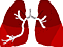 Pulmones