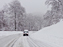 Carretera con nieve.