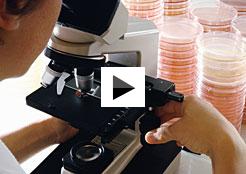 Microscopio.