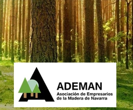 logo ADEMAN