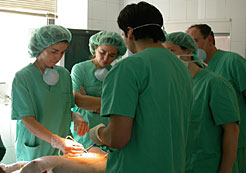 Prestakuntza praktikoa