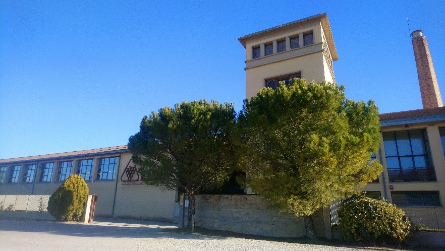 laboratorio olite
