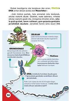 Liburuaren orrialdea.