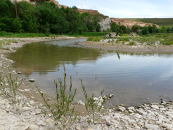 Ribera de río en Navarra