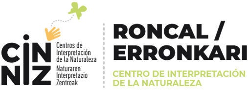 Logo CIN Roncal/Erronkari