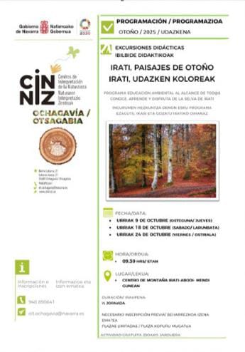 CIN Actividad