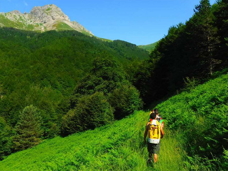 Naturaren Interpretazio Zentroek hainbat jarduera antolatu dituzte