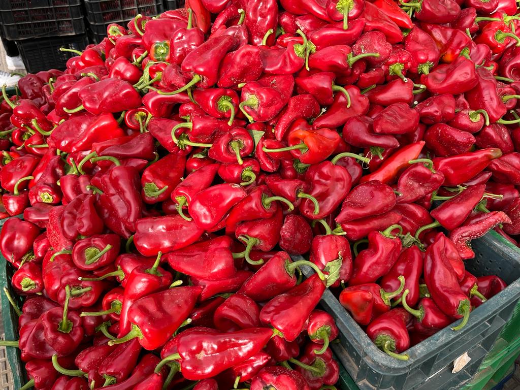 Nafarroako nekazari txikiek euren produktuak merkaturatu ahalko dituzte segurtasun- eta higiene-baldintza malguagoekin