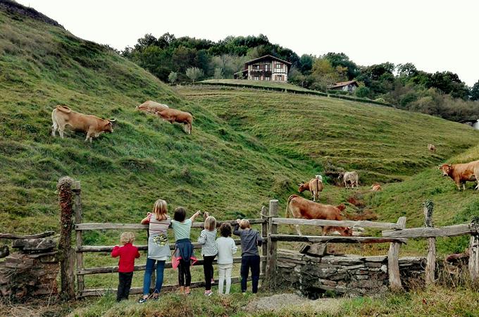 El Gobierno de Navarra se suma a la celebración de la Semana Verde Europea con varios actos en torno al impulso de la economía circular y la movilidad sostenible