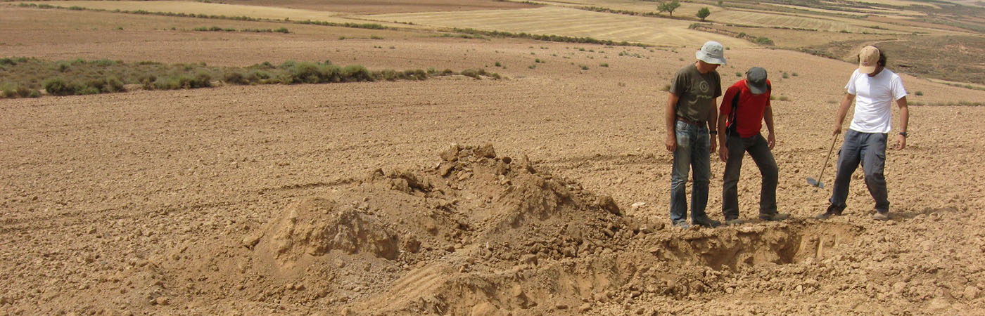 Acción C5.2