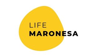 LIFE MARONESA