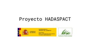 Proyecto HADASPACT