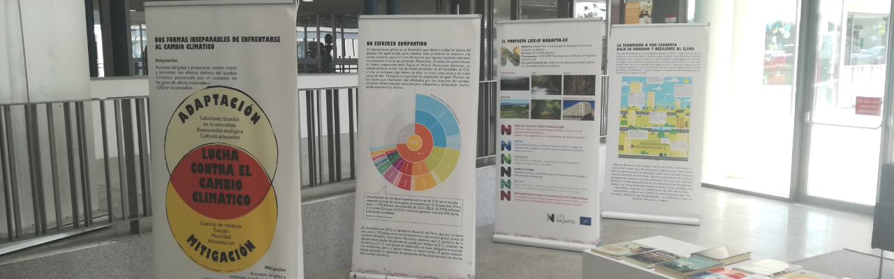Exposicion
