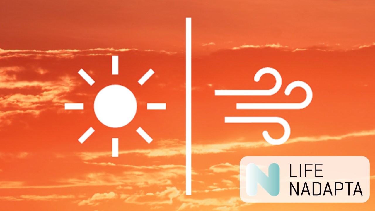 Plan de prevención de los efectos en salud del exceso de temperaturas y de la contaminación del aire en Navarra