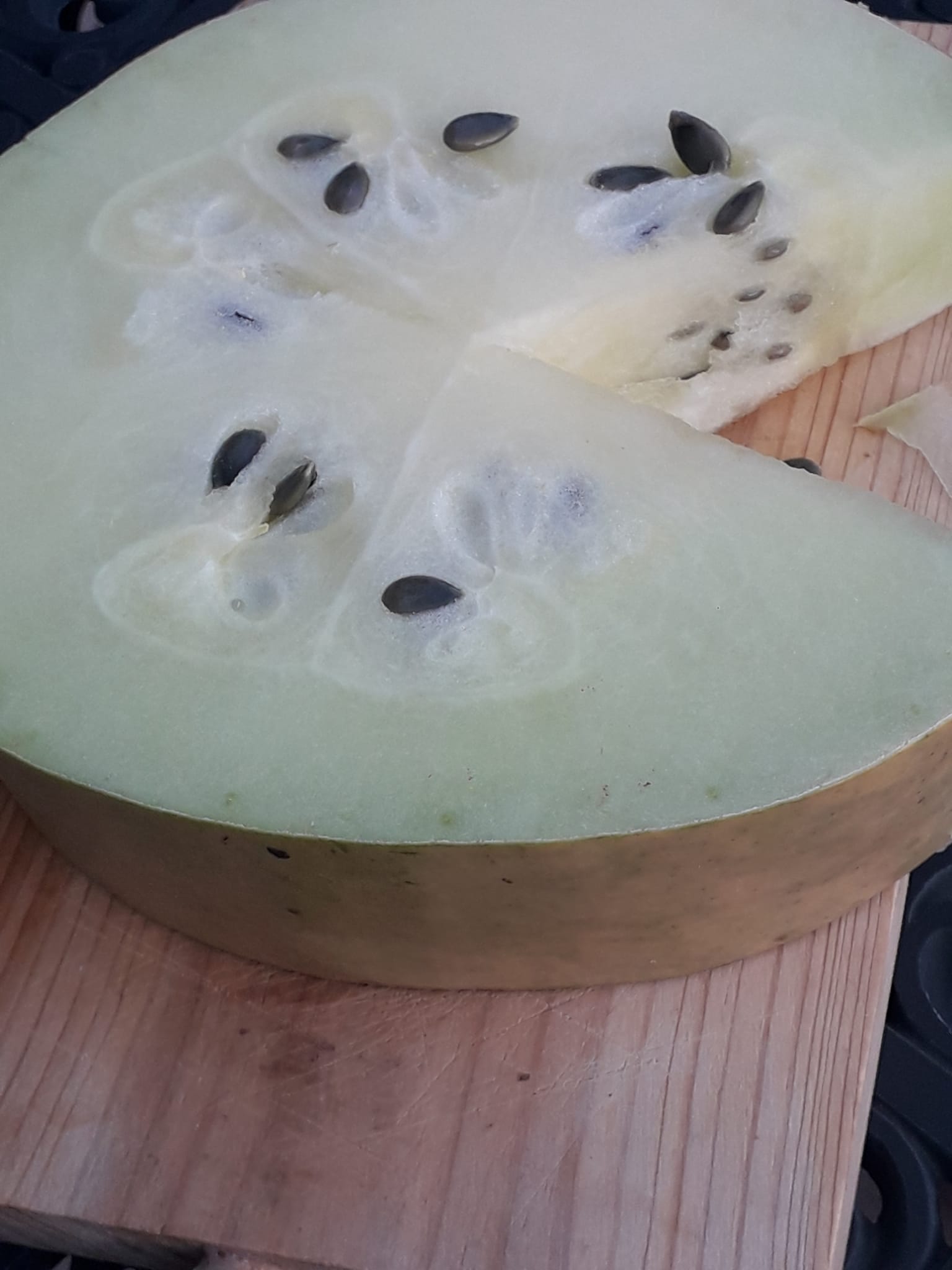 Semillas de melona.