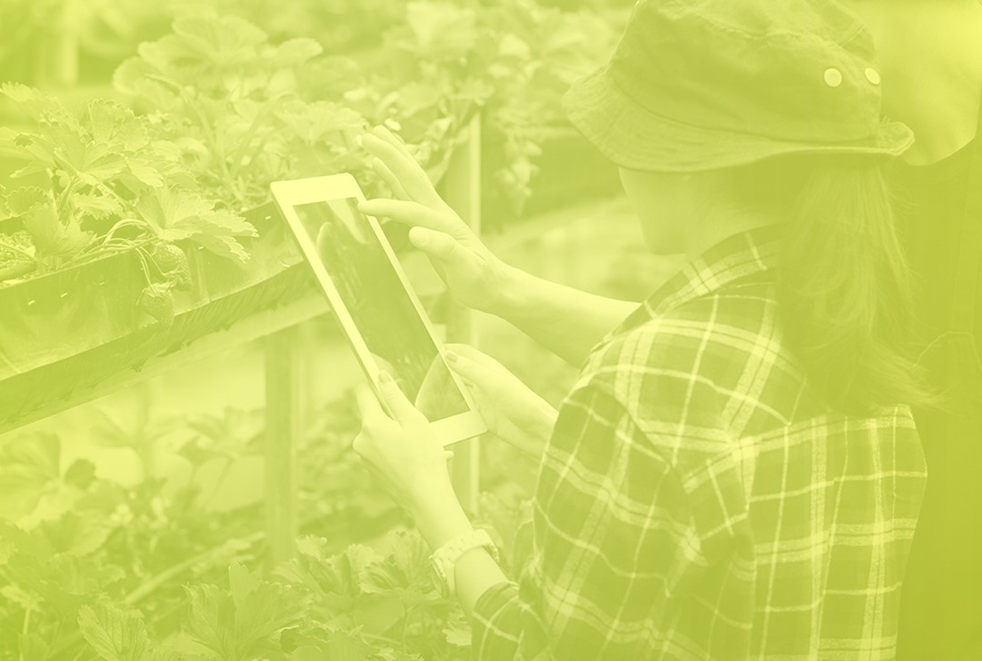Imagen del artículo 'Agrofood ScaleUp' abre su cuarta edición para impulsar el crecimiento del tejido empresarial agroalimentario