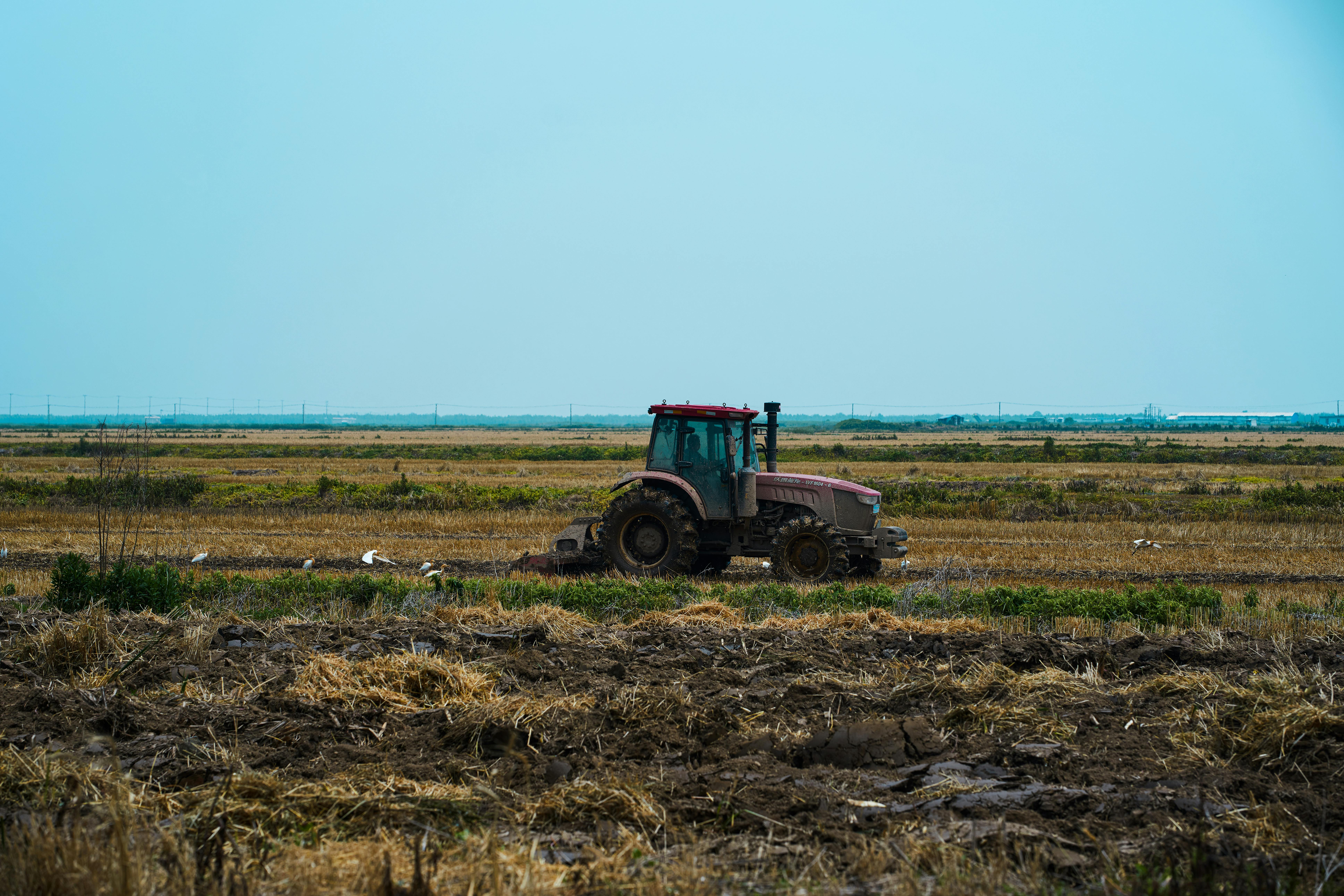 Imagen del artículo Desarrollo Rural aplica excepciones en la PAC para responder al impacto que las lluvias han tenido en la agricultura Va a permitir labrar el suelo con volteo para la prevención de las malas hierbas, como consecuencia de las elevadas precipitaciones 28/05/2025 camera_alt