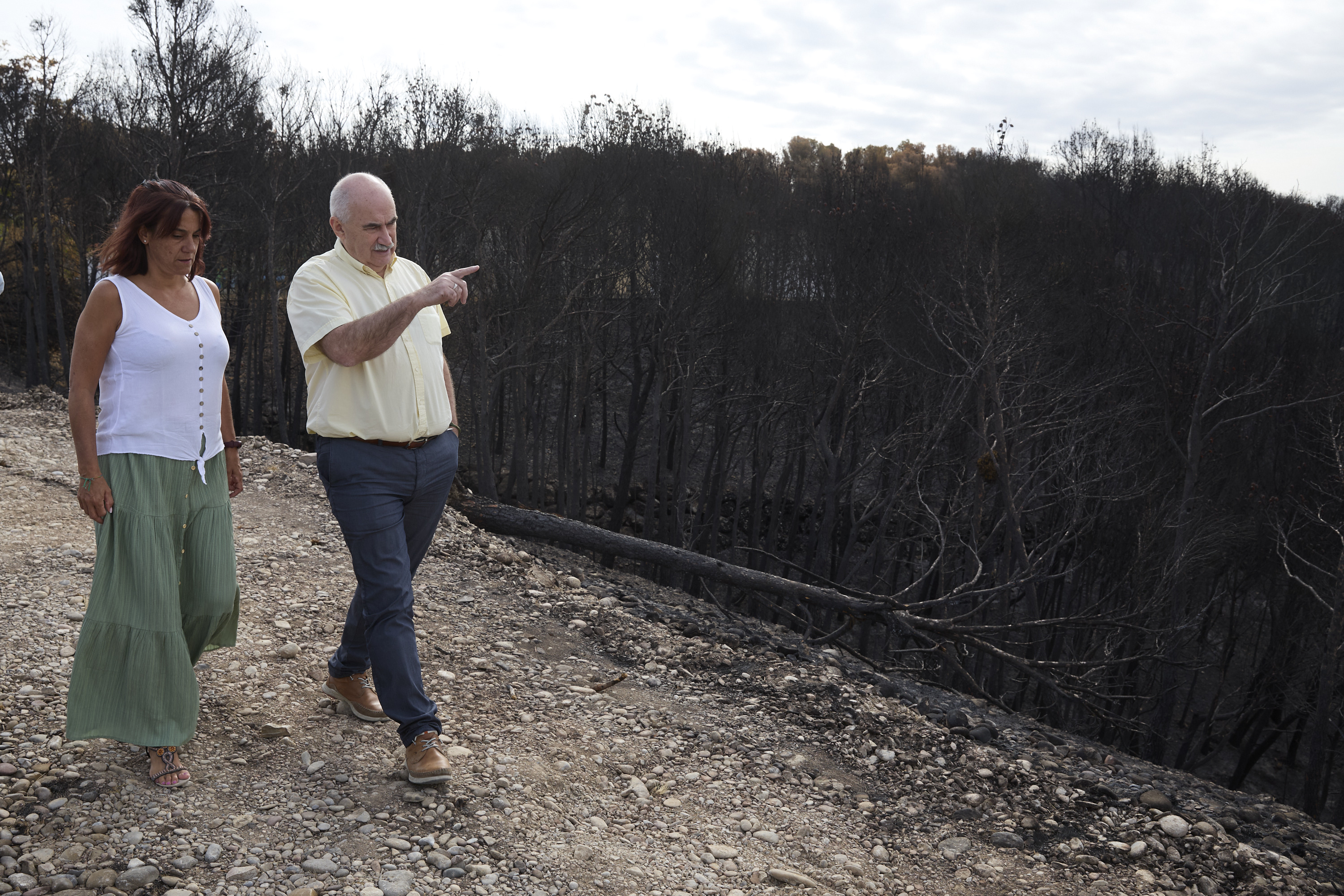 Imagen del artículo El consejero Aierdi y la alcaldesa de Carcastillo estudian actuaciones de restauración tras el último incendio Ambos visitan la zona afectada por las llamas hace veinte días y se reúnen con un grupo de agricultores que colaboraron en la extinción para tratar sobre mejoras en la prevención y extinción 29/08/2025 camera_alt