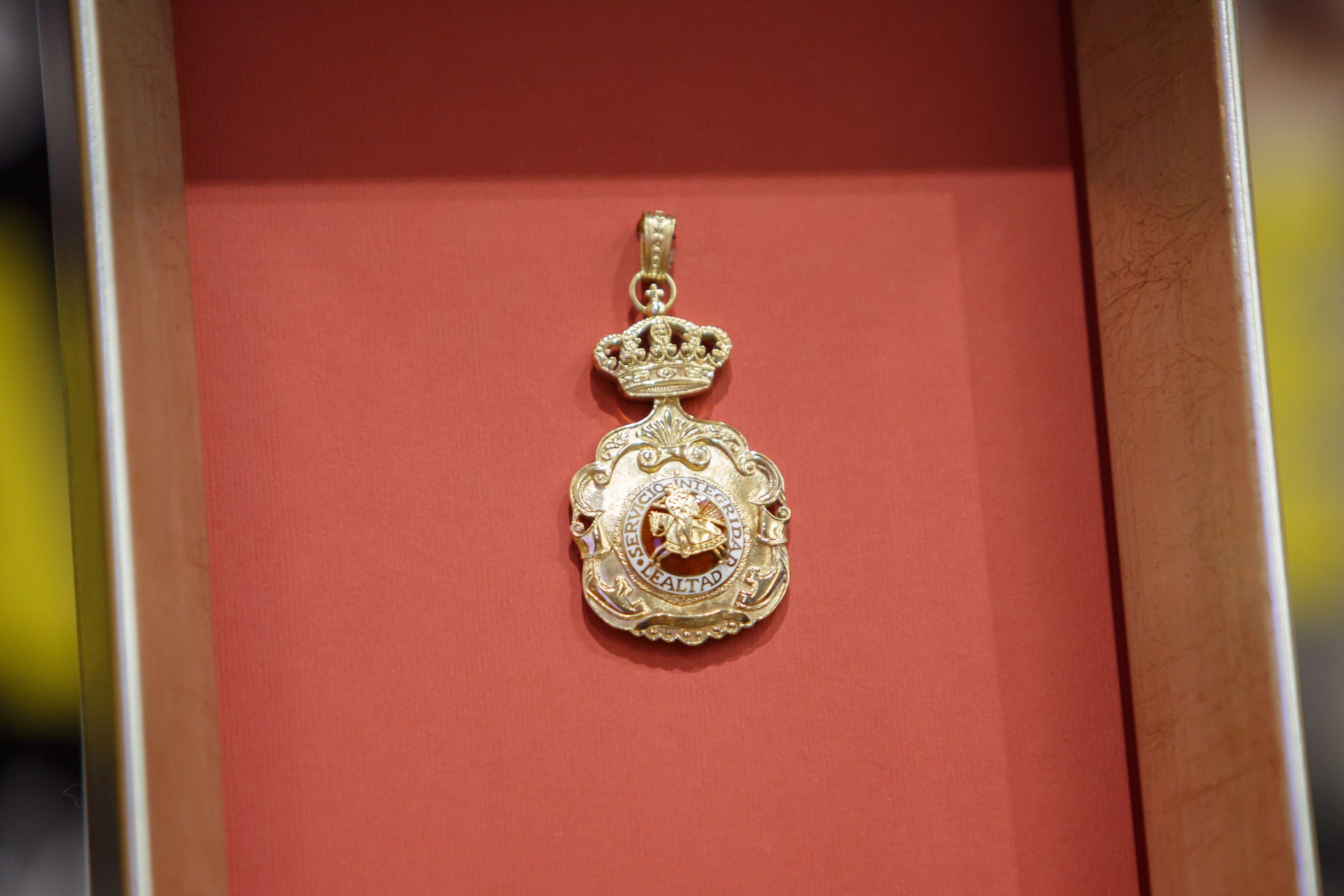 imagen Medalla de Oro de Navarra.