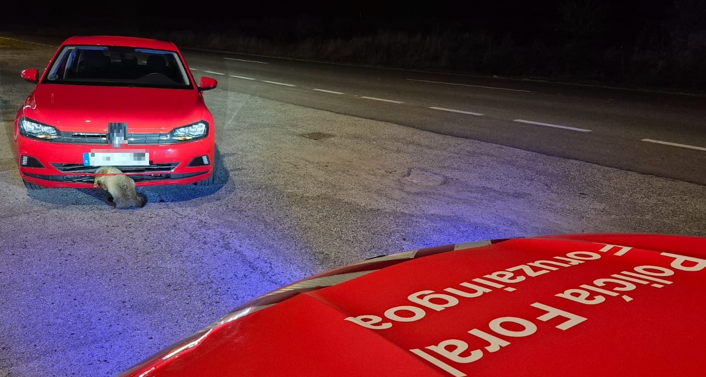 imagen 93 accidentes atendidos y 8 imputaciones, balance del Puente Foral.