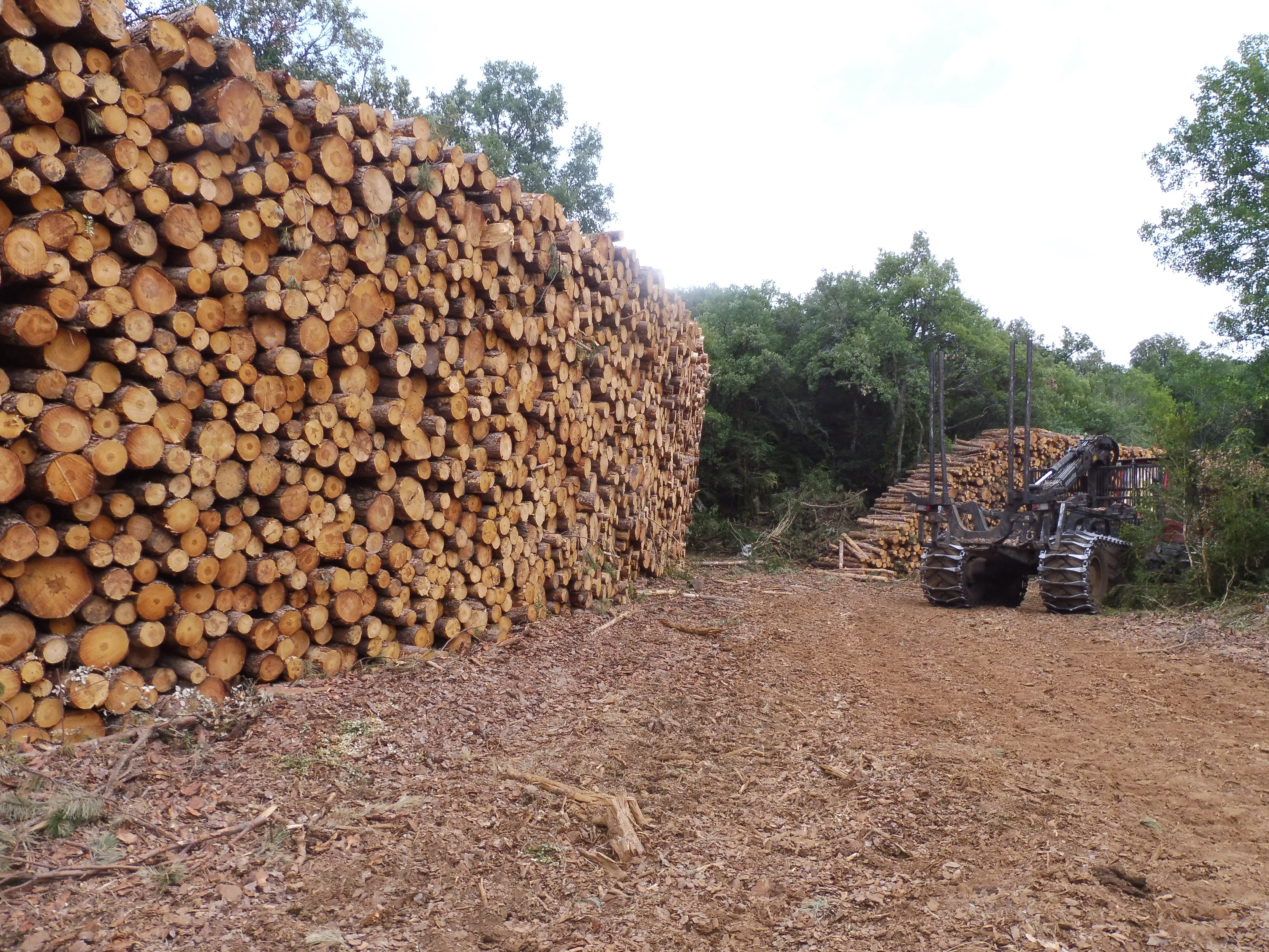 imagen En 2025 se produjeron dos siniestros en los que fallecieron dos personas que trabajaban en los montes navarros.