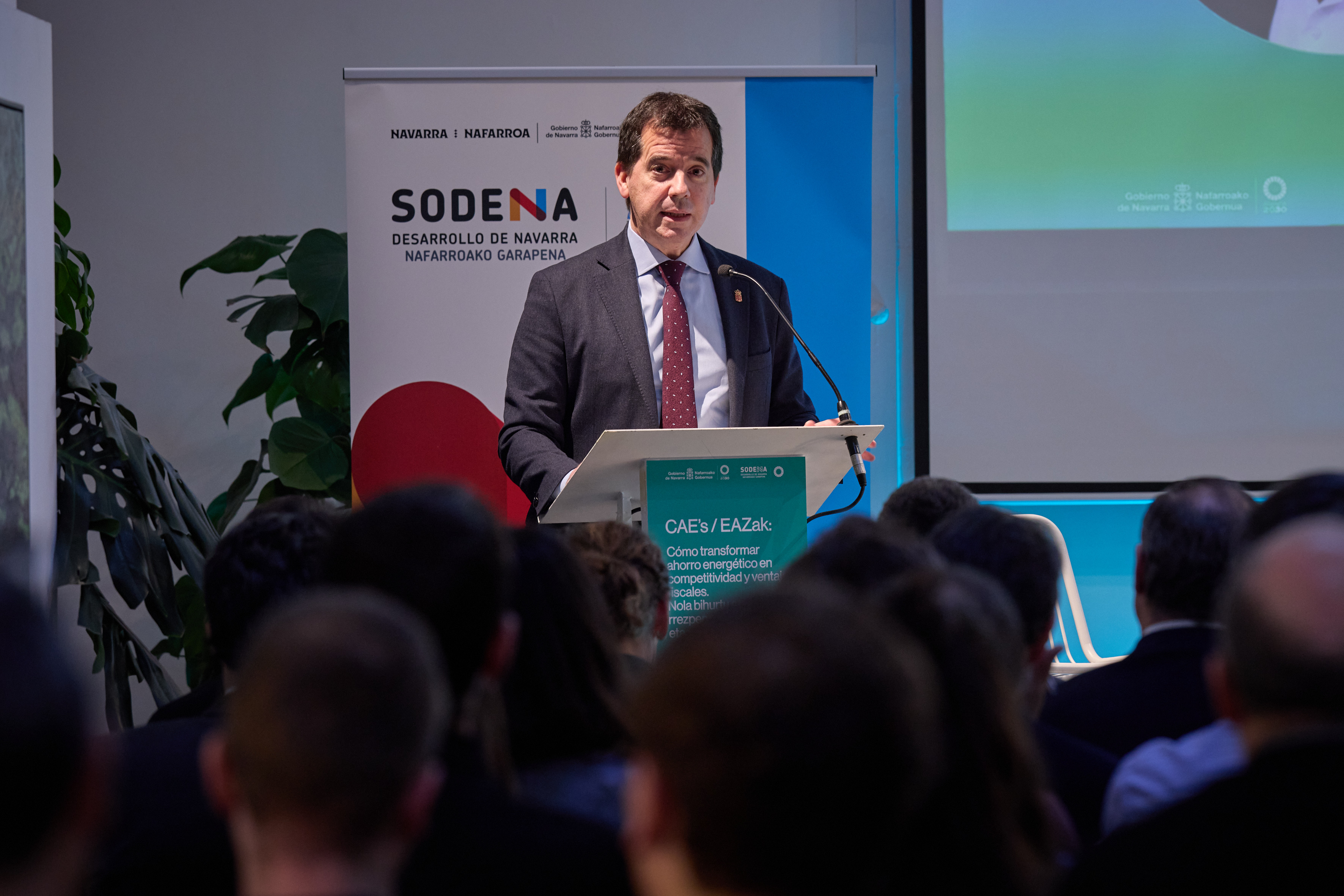 El consejero Irujo, en un momento de su intervención. 