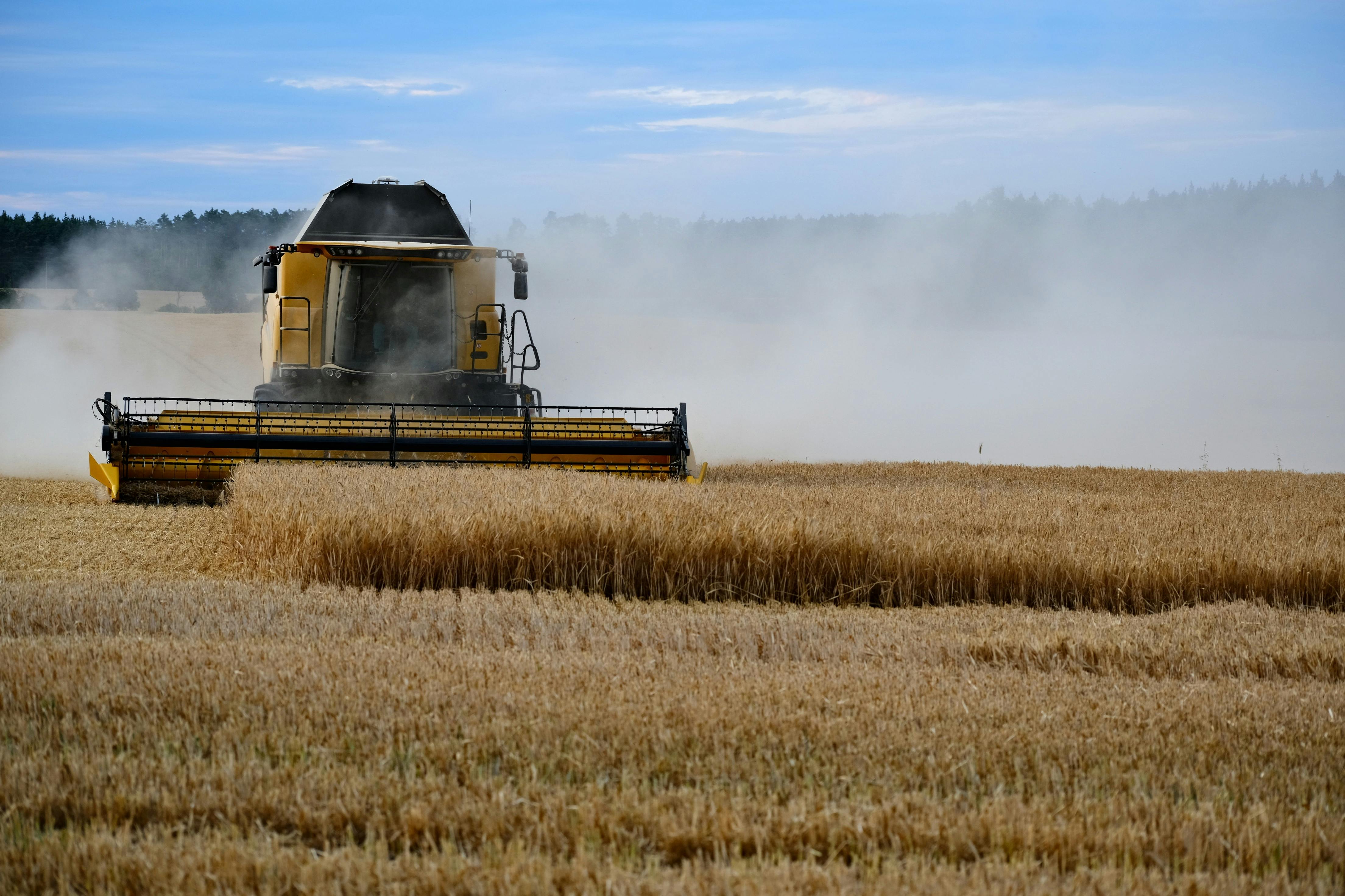 imagen Cosechadora en un campo de cereal. 