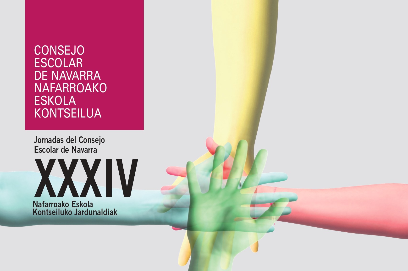 imagen Cartel de las Jornadas del Consejo Escolar de Navarra