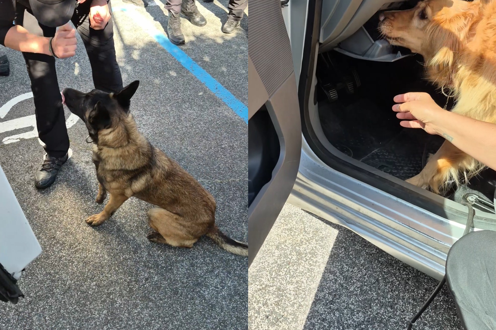 imagen Imágenes de un momento de la formación