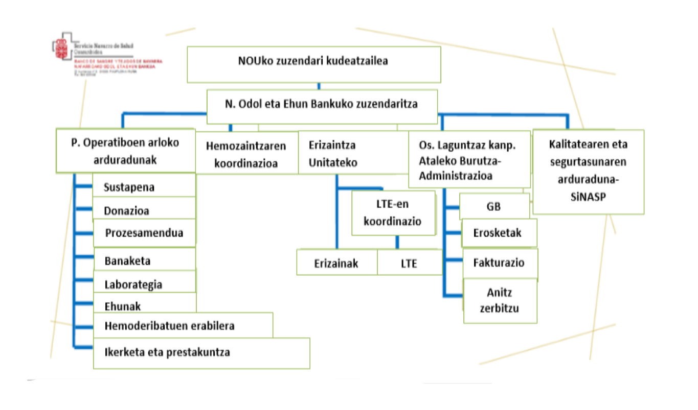 Organigrama del Banco de Sangre y Tejidos de Navarra