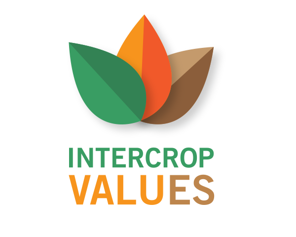 Horizonte Intercrops Values