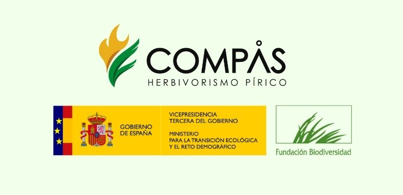 Proyecto Compás