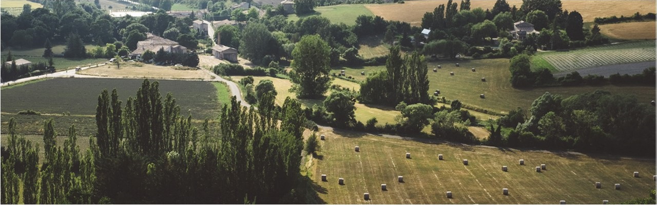 Portal de indicadores de seguimiento de cambio climático