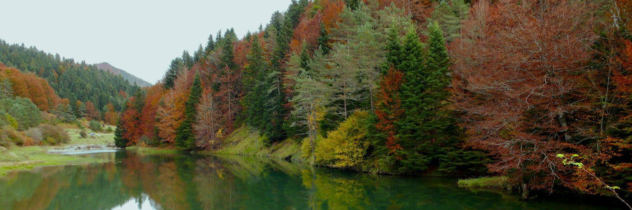 Centros de Interpretación de la Naturaleza