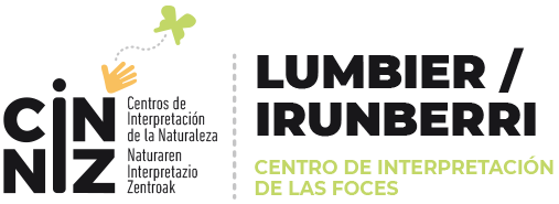 Logo CIN Lumbier